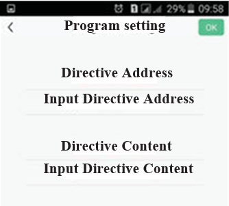 Input directive